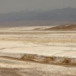 Death Valley - Salt Creek Interpretive Trail